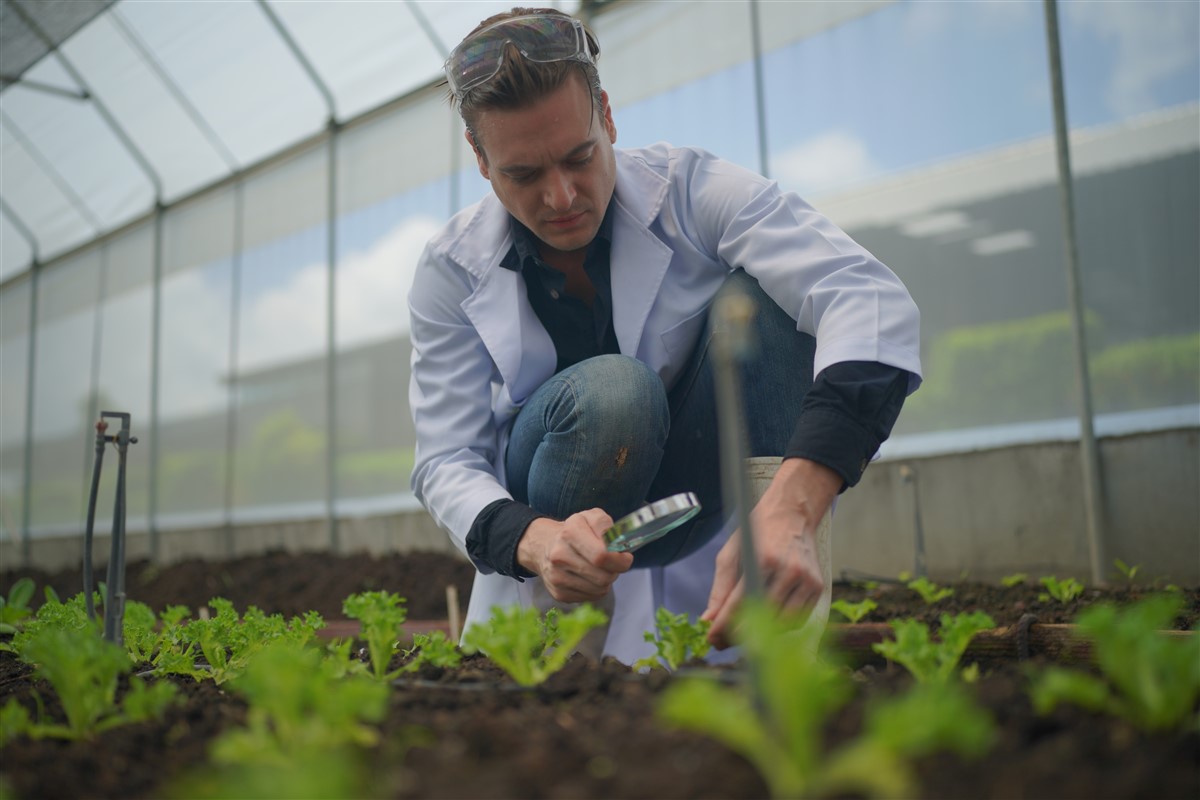 producteurs de la ferme coopérative