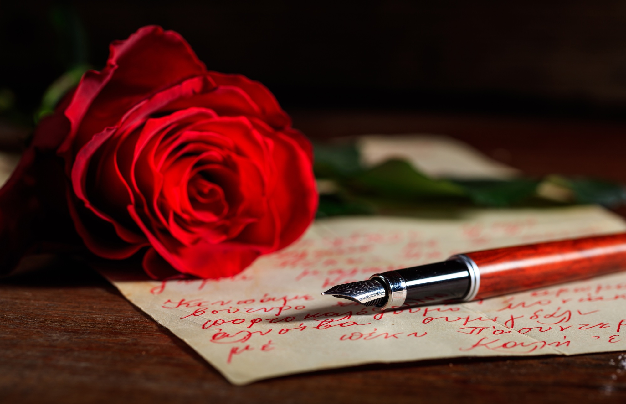 Red rose and an ink pen on a letter